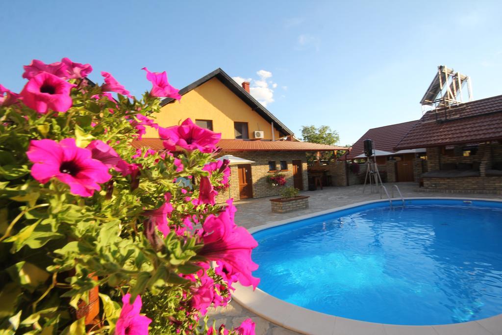 Guest House Vila Alexandar Palić Extérieur photo