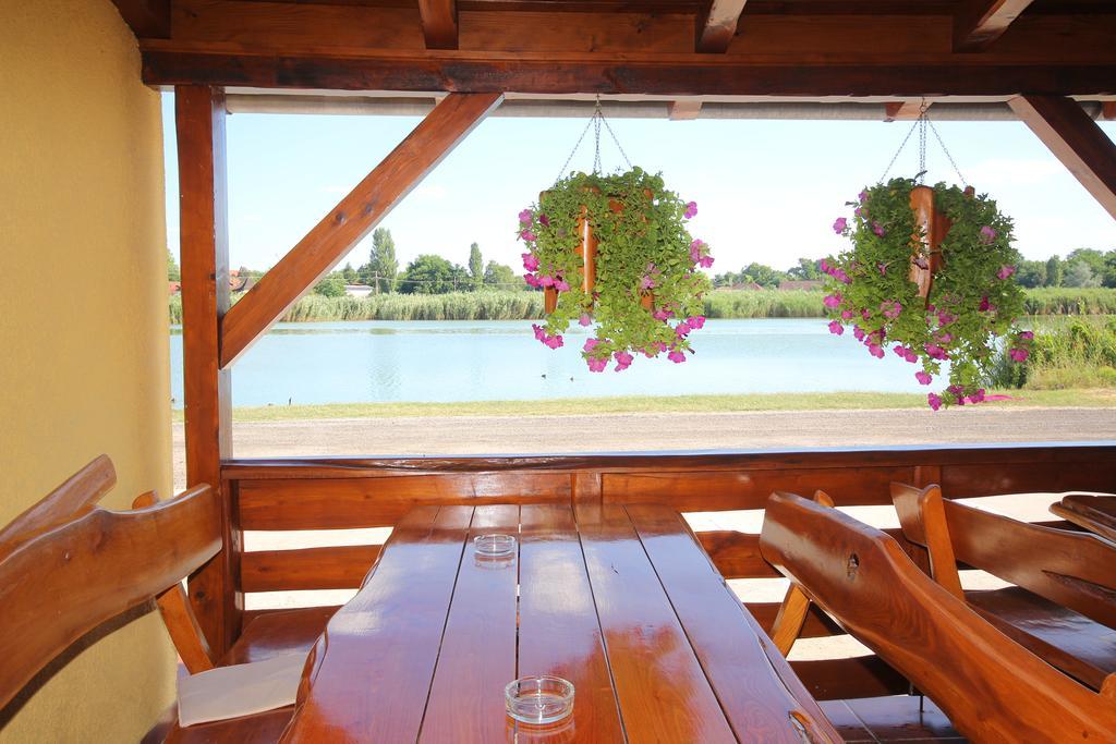 Guest House Vila Alexandar Palić Extérieur photo